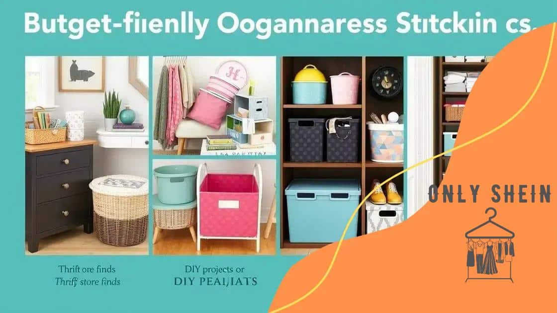 Budget-friendly organization tips with Shein