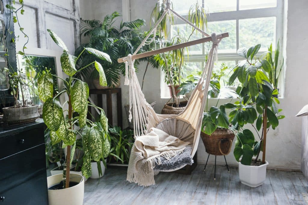 Biophilic design trends: transforming your living space