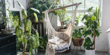 Biophilic design trends: transforming your living space